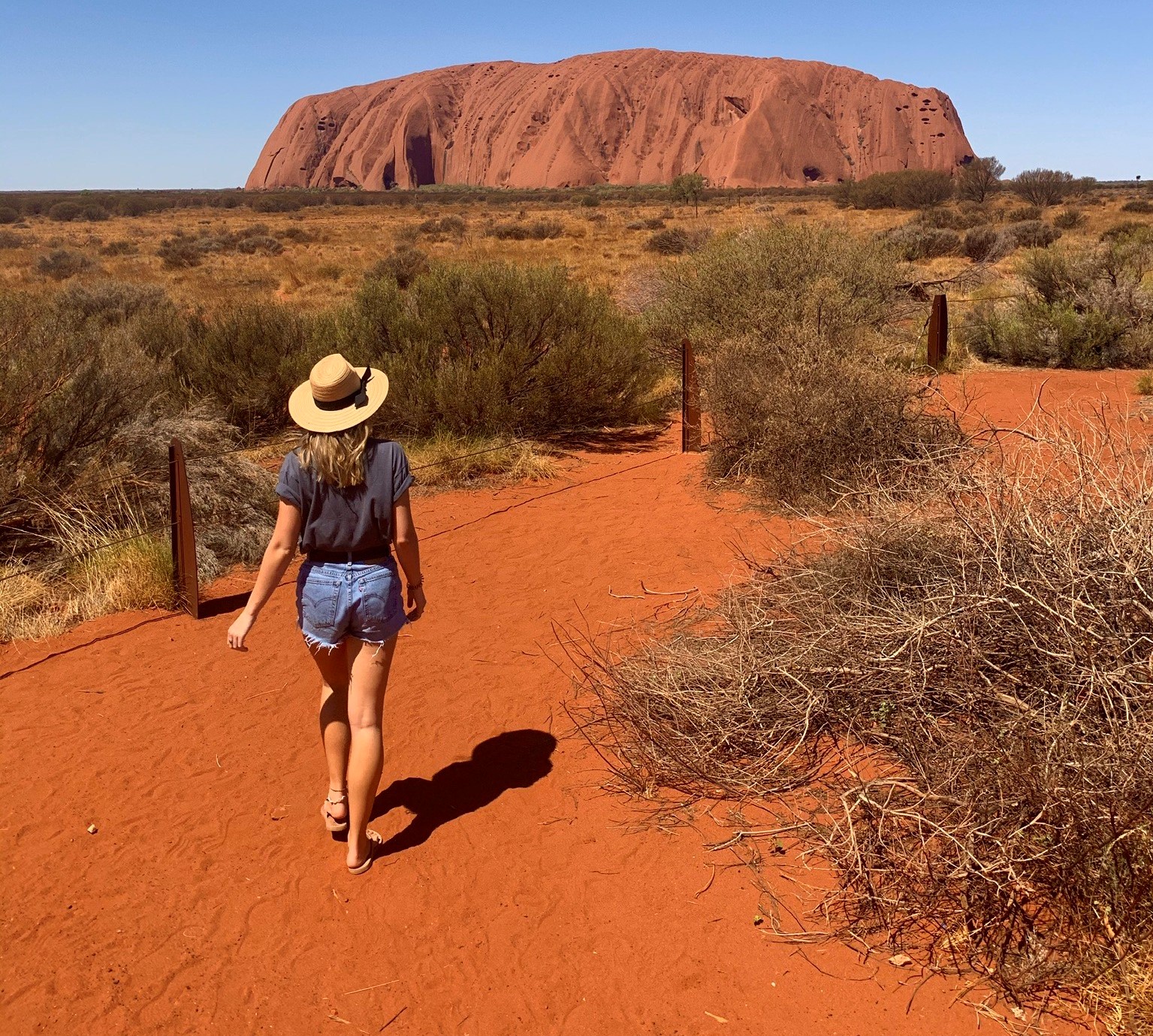 Find Nursing and Doctor Jobs in Northern Territory